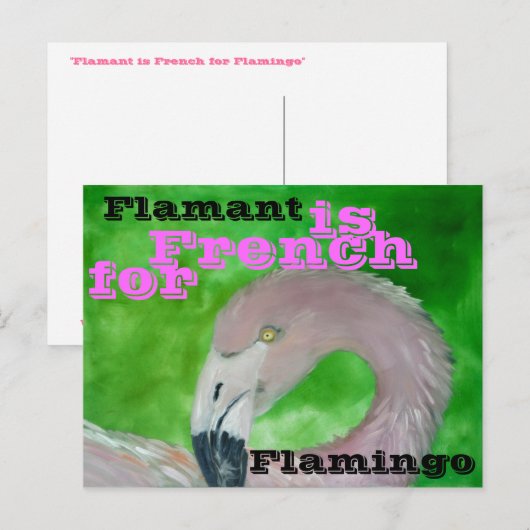 Flamingo Postcard Postkarte (Vorne/Hinten)