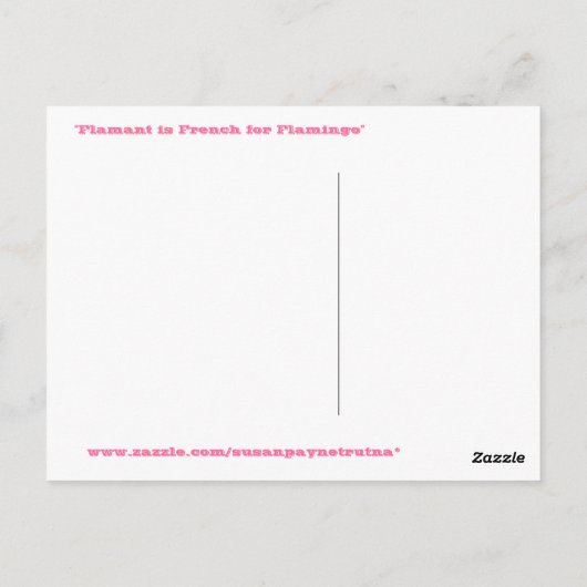 Flamingo Postcard Postkarte (Rückseite)