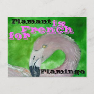 Flamingo Postcard Postkarte