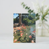 FLAMINGO POSTCARD POSTKARTE (Stehend Vorderseite)