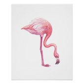 Flamingo Poster (Vorderseite)