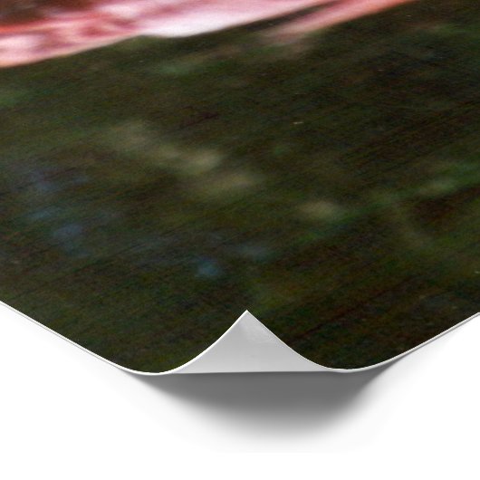 Flamingo Poster (Ecke)