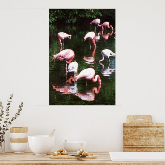 Flamingo Poster (Küche)