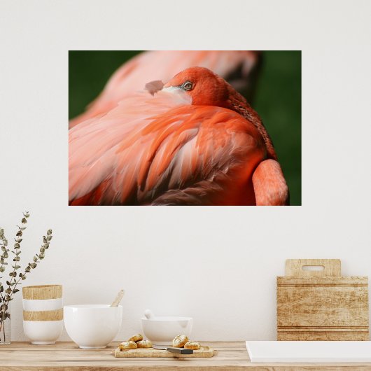 Flamingo Poster (Küche)