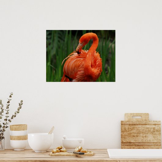 Flamingo Poster (Küche)