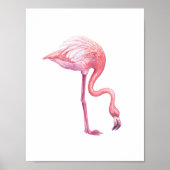 Flamingo Poster (Vorne)
