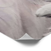 Flamingo Poster (Ecke)