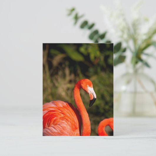 Flamingo Postkarte (Stehend Vorderseite)