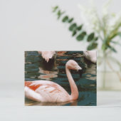 Flamingo Postkarte (Stehend Vorderseite)