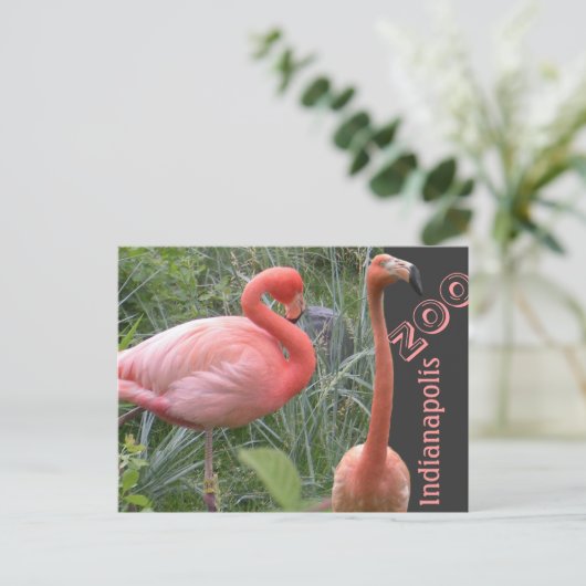 Flamingo Postkarte (Stehend Vorderseite)