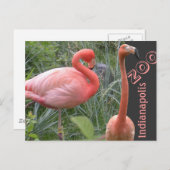 Flamingo Postkarte (Vorne/Hinten)