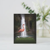 Flamingo Postkarte (Stehend Vorderseite)