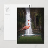 Flamingo Postkarte (Vorne/Hinten)
