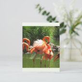 Flamingo Postkarte (Stehend Vorderseite)
