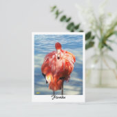 Flamingo Postkarte (Stehend Vorderseite)