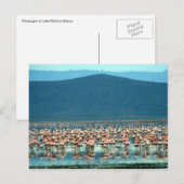Flamingo Postkarte (Vorne/Hinten)