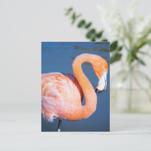 Flamingo Postkarte (Stehend Vorderseite)
