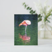 Flamingo Postkarte (Stehend Vorderseite)