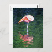 Flamingo Postkarte (Vorne/Hinten)