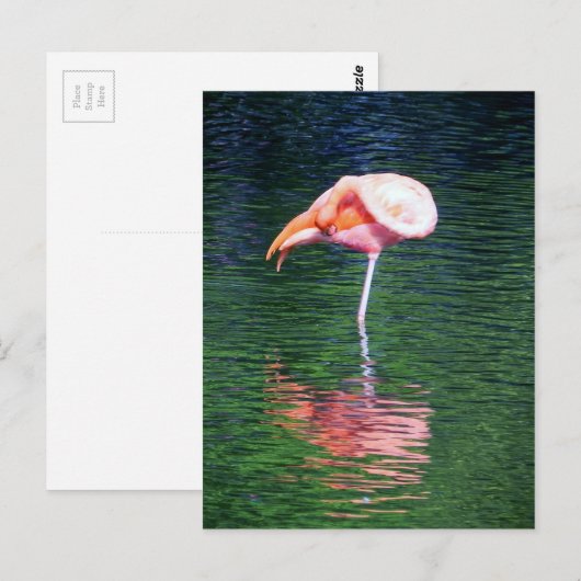 Flamingo Postkarte (Vorne/Hinten)