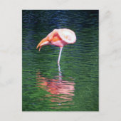Flamingo Postkarte (Vorderseite)