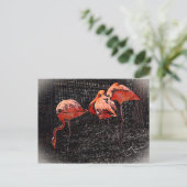Flamingo Postkarte (Stehend Vorderseite)