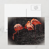 Flamingo Postkarte (Vorne/Hinten)