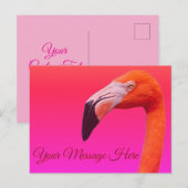 Flamingo Postkarte (Vorne/Hinten)