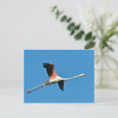 Flamingo Postkarte (Stehend Vorderseite)
