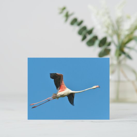 Flamingo Postkarte (Stehend Vorderseite)
