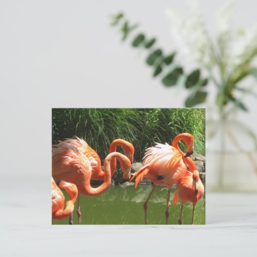 Flamingo Postkarte (Stehend Vorderseite)