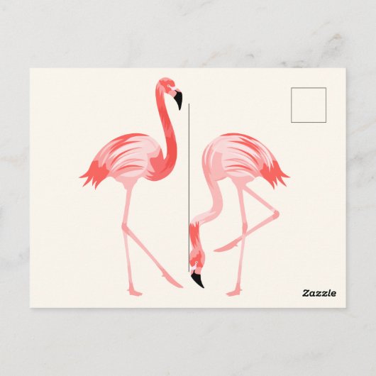 Flamingo Postkarte (Rückseite)