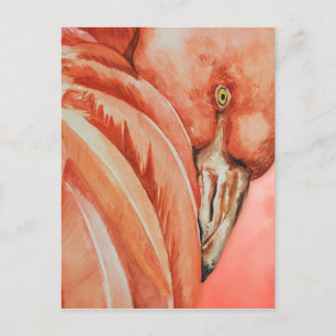 Flamingo Postkarte