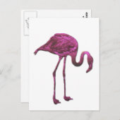 Flamingo Postkarte (Vorne/Hinten)