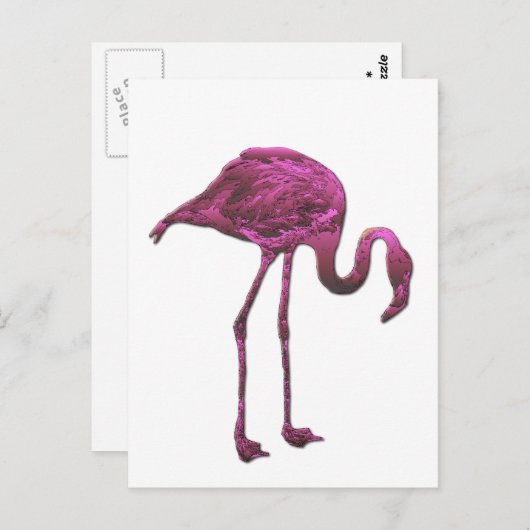 Flamingo Postkarte (Vorne/Hinten)
