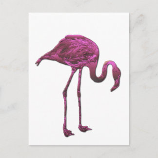 Flamingo Postkarte