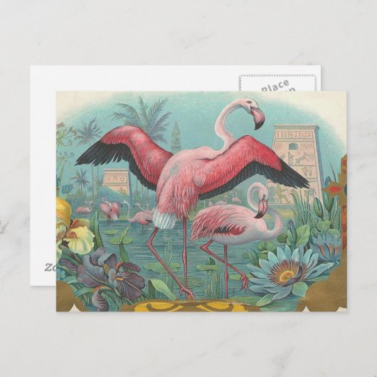 Flamingo Postkarte (Vorne/Hinten)
