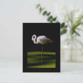 Flamingo Postkarte (Stehend Vorderseite)