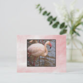 Flamingo Postkarte (Stehend Vorderseite)