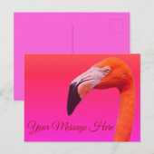 Flamingo postkarte (Vorne/Hinten)
