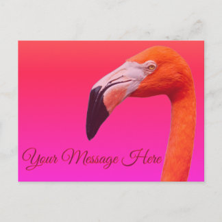 Flamingo postkarte
