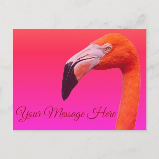 Flamingo postkarte (Vorderseite)