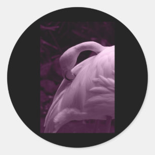 Flamingo Preen Feathers Tint Vertikaler Sticker