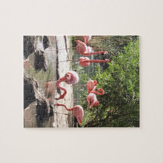 Flamingo Puzzle (Horizontal)