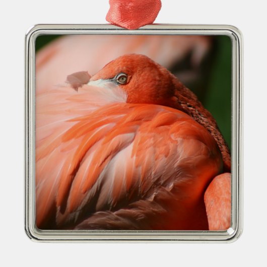 Flamingo-Quadrat Ornament Aus Metall (Vorne)