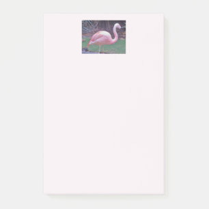 Flamingo Really Pink Post-it Klebezettel