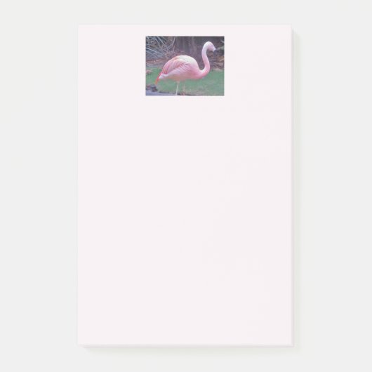 Flamingo Really Pink Post-it Klebezettel (Vorderseite)