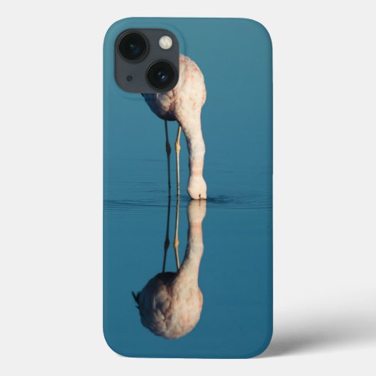 Flamingo Reflection, Laguna Chaxa, Atacama Case-Mate iPhone Hülle (Rückseite)