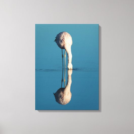 Flamingo Reflection, Laguna Chaxa, Atacama Leinwanddruck (Vorderseite)