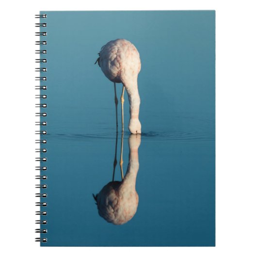 Flamingo-Reflexion, Laguna Chaxa, Atacama Notizblock (Vorderseite)